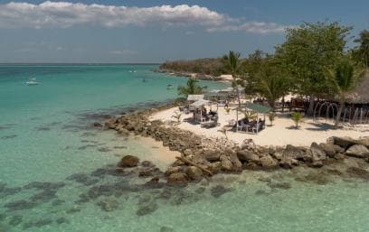 Isla Saona Wildlife Safari: Your All-Inclusive Escape