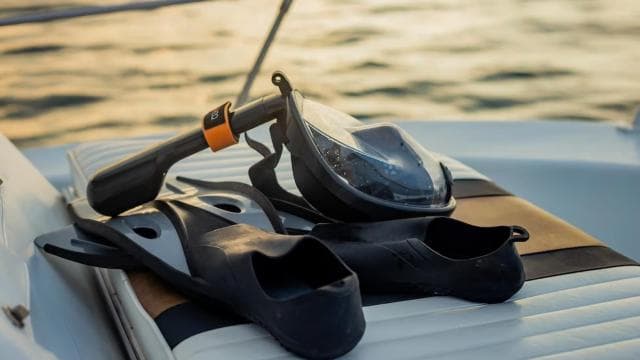 Costa Rica: Dolphin Watching & Snorkelling Private Charter