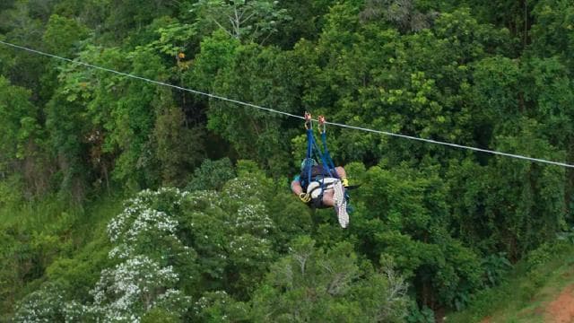 Puerto Rico: The Beast Zipline at Toro Verde Adventure Park