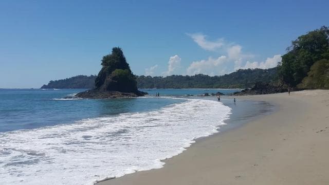 Manuel Antonio National Park Combo Tour from San Jose