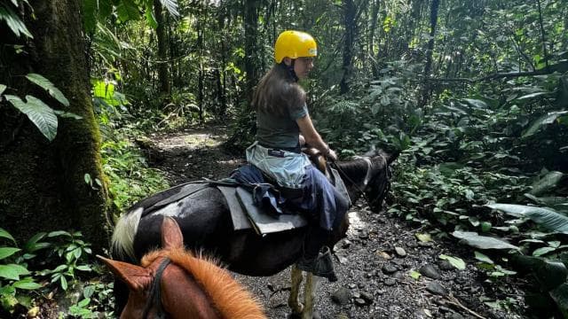 La Fortuna: Arenal Volcano Horseback Riding