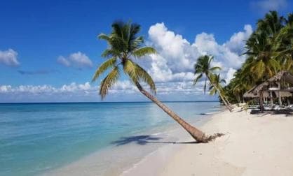Private Day Excursion to Saona Island from Juan Dolio