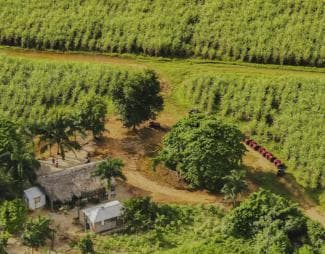 Bayahibe: ATV Tour with River Chavón and Local Tastings
