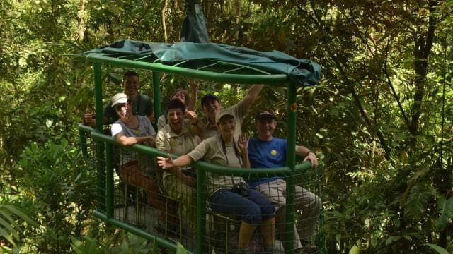 From San Jose: Rainforest Atlantic Aerial Tram Tour