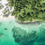Samana: Whale Watching and Cayo Levantado Full Day Tour