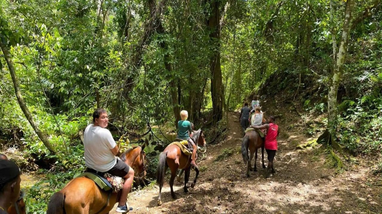 Punta Cana: Samana with Waterfall & Bacardi Island Day Trip