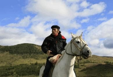 From Samaná: El Limón Waterfall Horseback Ride with Lunch