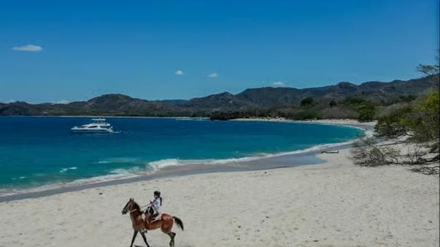 2 Hours Beach Horseback Riding