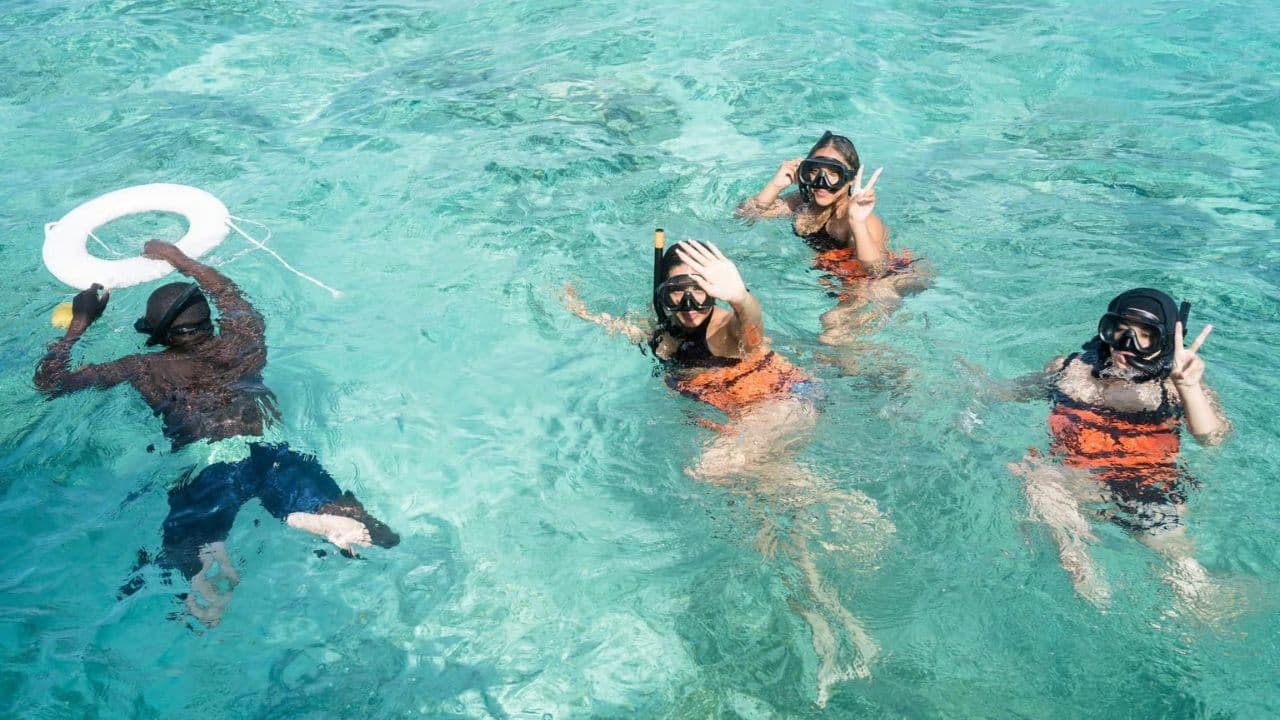 Punta Cana :Catamaran with Open Bar and Dolphin and Stingray Watching