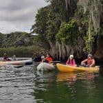 Los Haitises Sunrise or Sunset Private Kayak Excursion with Locals
