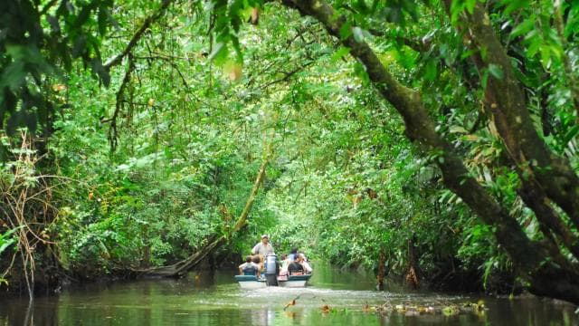 Cahuita National Park: Best Things to Do in Cahuita Limon