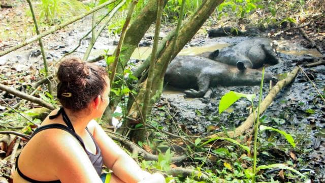 Corcovado National Park: San Pedrillo Station Day Tour