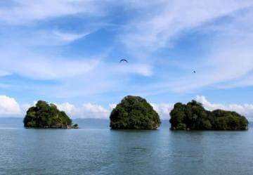 From Punta Cana: Los Haitises Guided Day Tour