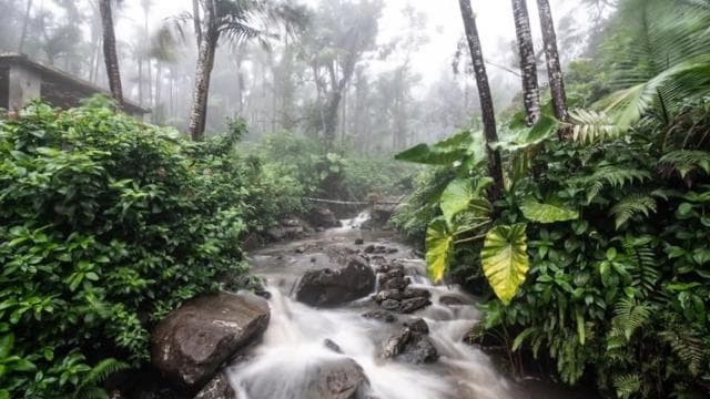 From San Juan: El Yunque National Rainforest Half-Day Tour