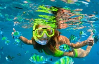 Monkeys and Snorkel Adventure in Sosúa, Puerto Plata