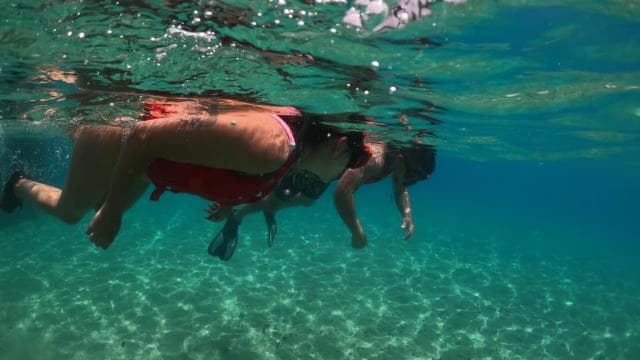 VIP Snorkeling with Turtles Adventure