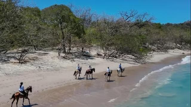 2 Hours Beach Horseback Riding