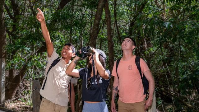Rincón de la Vieja: One-Day Nature Tour