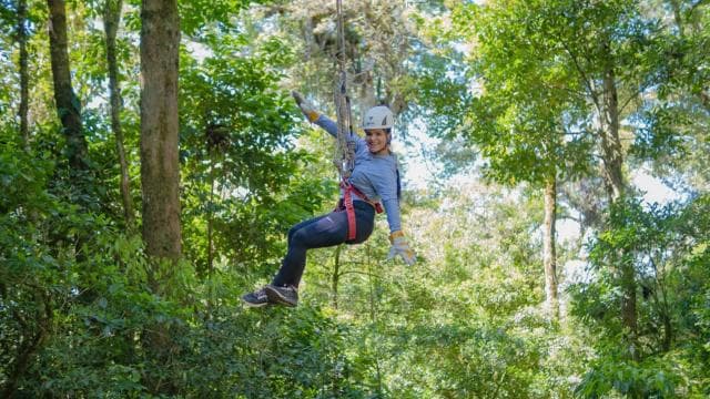The Original Canopy Tour Monteverde
