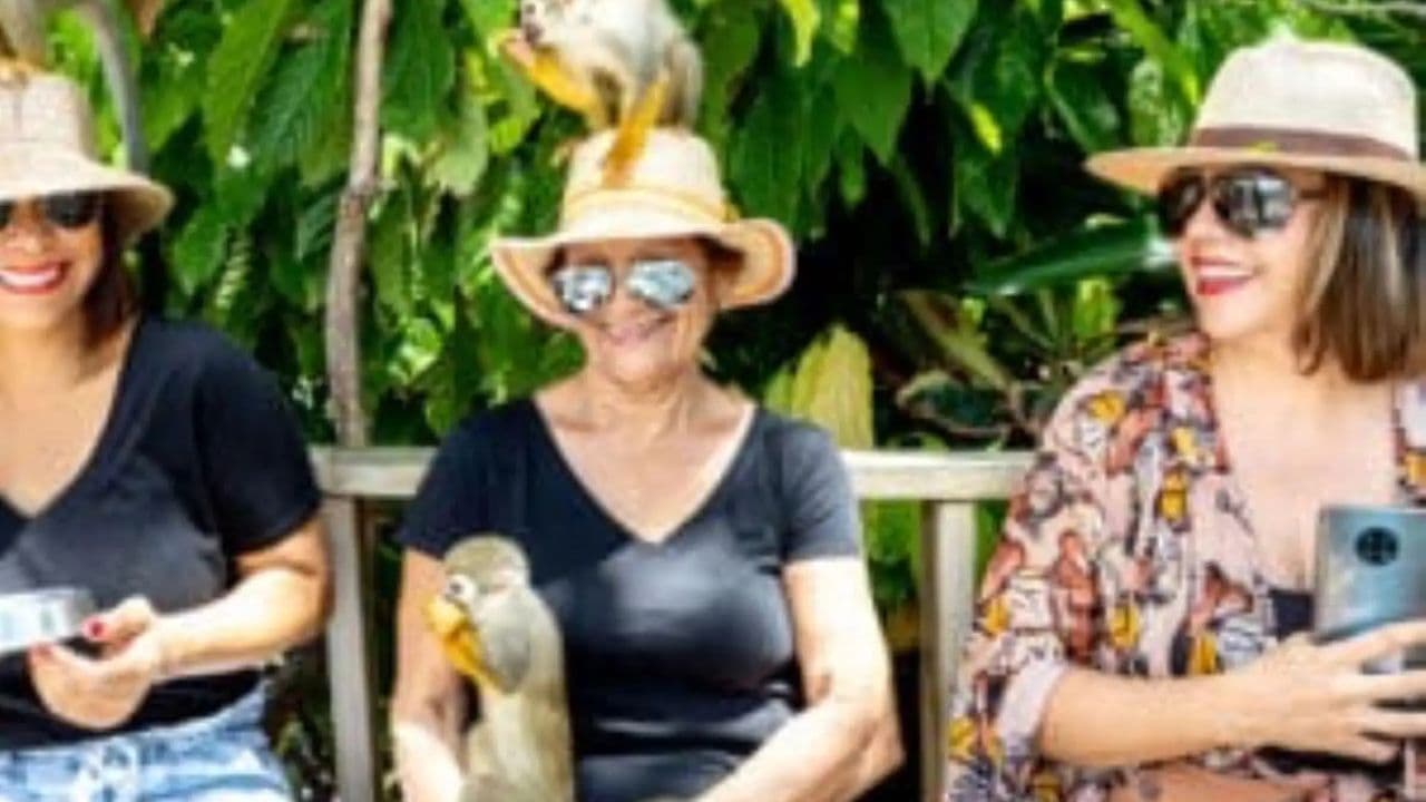 Monkeyland experience + Lunch and transportation