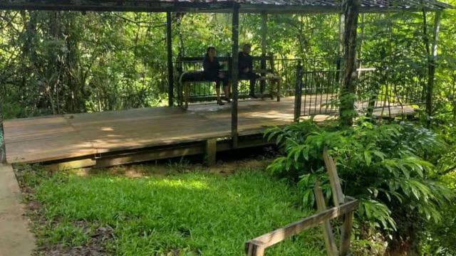 Puerto Rico: Gozalandia River Hiking and Waterfall Tour