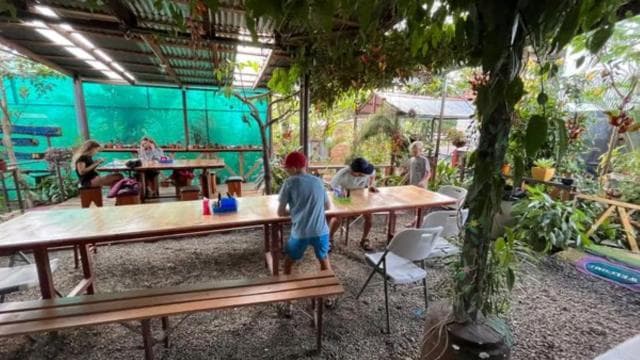 Rio Celeste: Rainforest, Sloths and Wildlife.