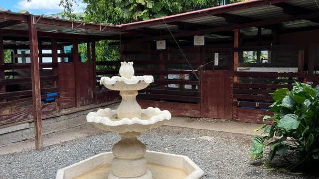 San Juan : Ciales coffee museum and shop tour