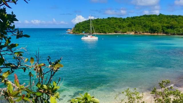 Fajardo: Catamaran Day Cruise to Palomino Island with Lunch