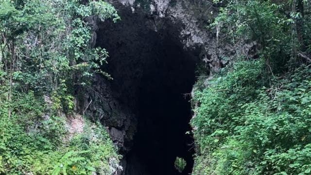 Puerto Rico: Tanama River Tubing & Cave Adventure in Arecibo