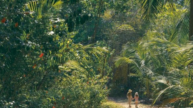Corcovado National Park: Three Days and Two Nights Corcovado