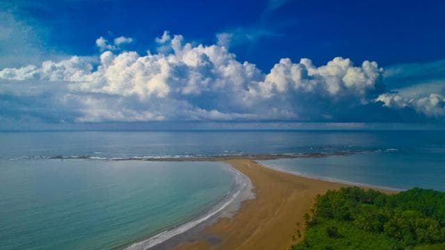 Uvita: Marino Ballena National Park Private Guided Walk Tour