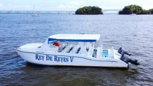Private Catamaran Samaná Bay – Rey De Reyes V