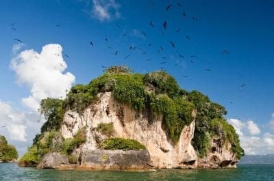 Private: Los Haitises & Cayo Levantado from Samana