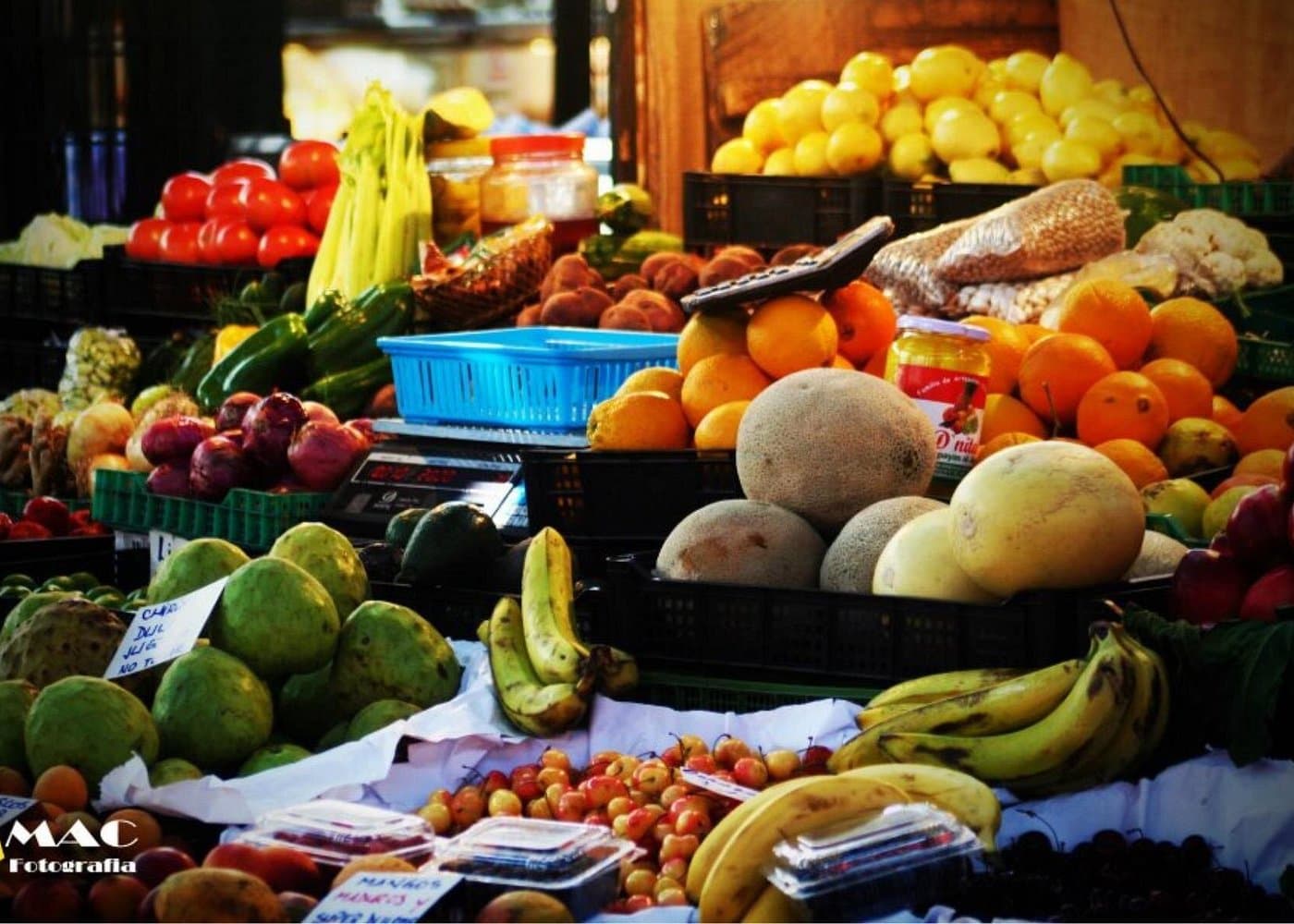 Discover Santiago Half Day Guided Tour Included Local Snack