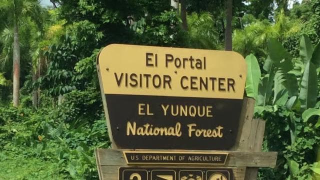 San Juan: El Yunque Rainforest Guided Tour