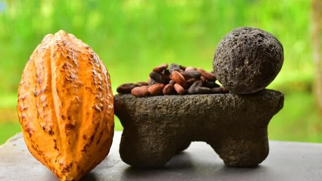 Jaco Beach: 2-Hour Chocolate Experience Tour