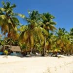Experience Saona Island from Punta Cana