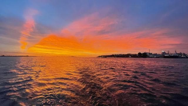 Private Sail Sunset or Bay Tours with Free Drinks & Tapas