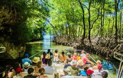 Santo Domingo: Visit Samana, Los Haitises Park, and Cayo Levantado Island