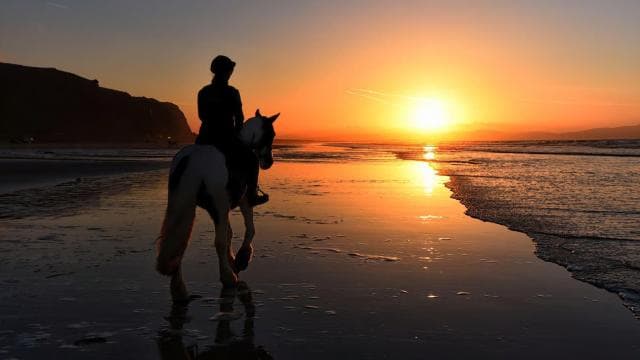 Tamarindo: Horseback to Tamarindo Beach - Guanacaste, CR