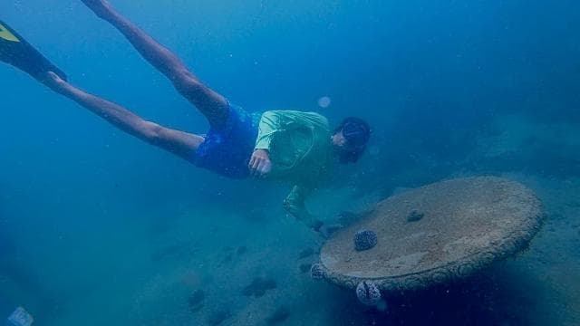 San Juan: small group guided snorkeling excursion
