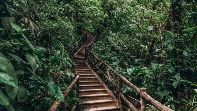 Combo Arenal: Waterfalls, Hanging Bridges, Thermal Spa