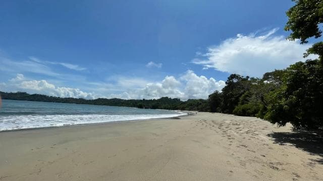 Manuel Antonio National Park: Animal watching hike - Dominican Republic