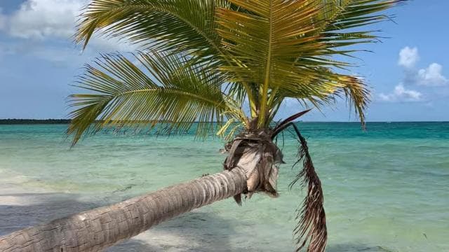 Punta Cana: All Inclusive Saona Island Experience