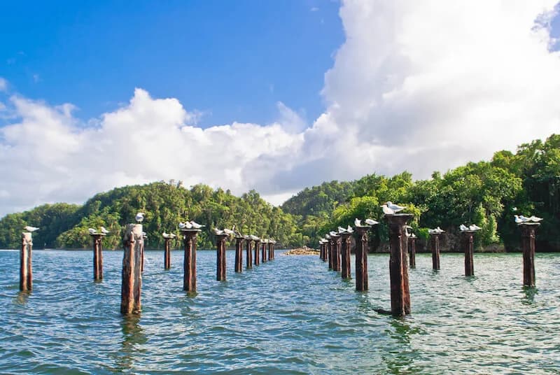 Kayaking, Hiking & Ferry Eco-Adventure to Los Haitises National Park From Samana