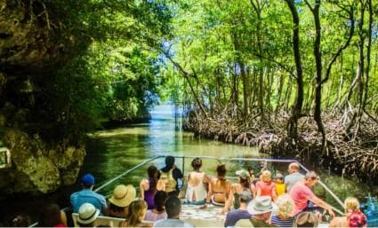 Samana: Los Haitises National Park & Cayo Levantado Tour