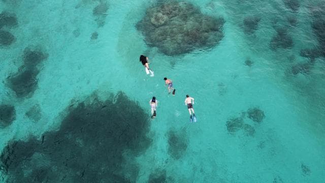 Fajardo: Private Snorkel & Boat Adventure
