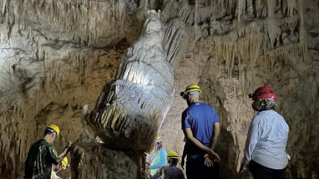 San Juan: Camuy River Canyon and Cave Tour with Pickup