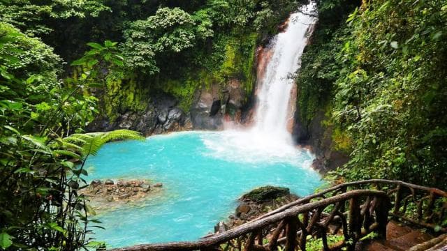 La Fortuna: Rio Celeste Full Day Tour