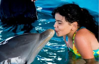 Puerto Plata: Dolphin Encounter at Ocean World